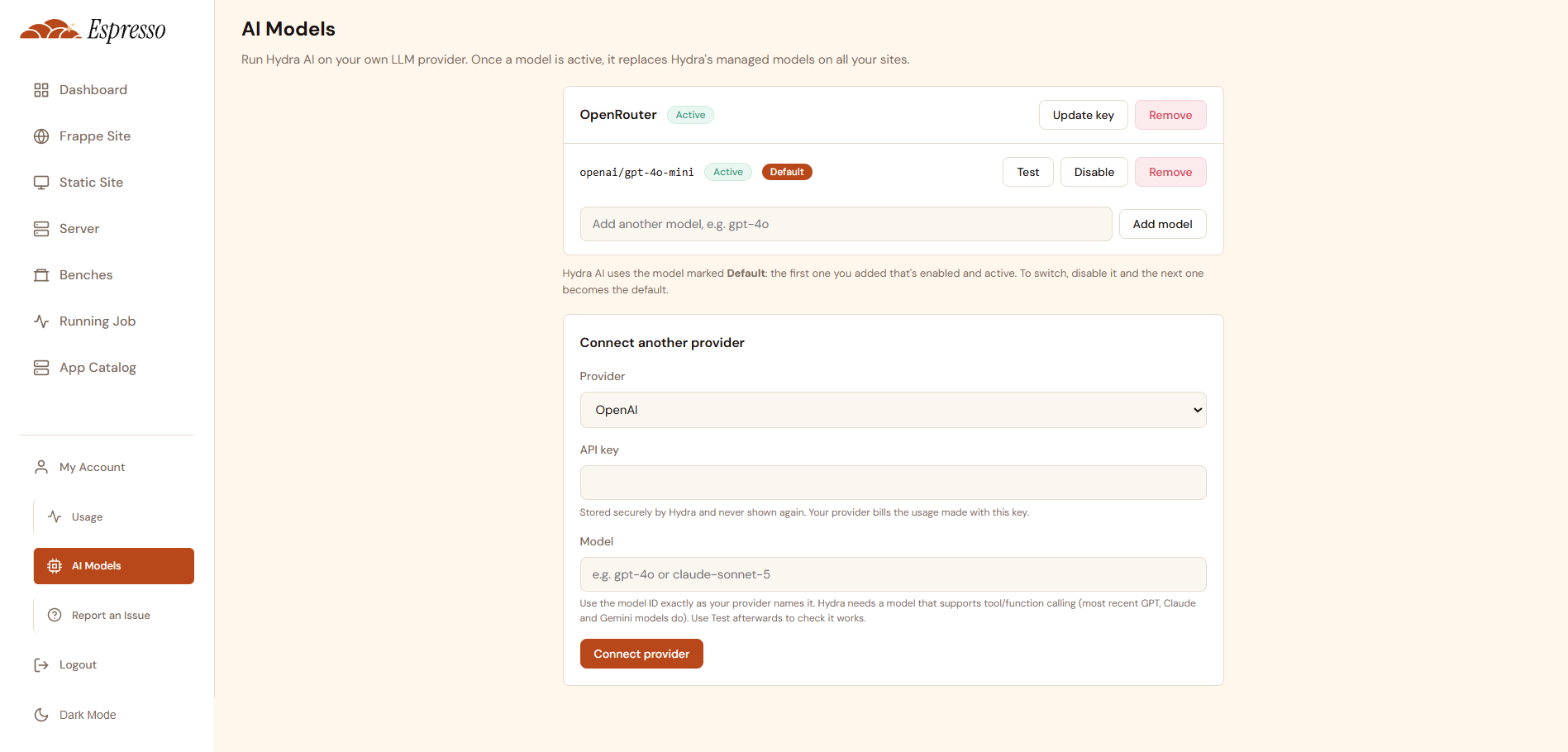 The AI Models page in Espresso, with a connected provider and the form to connect another